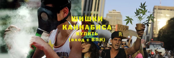 шишки Богданович