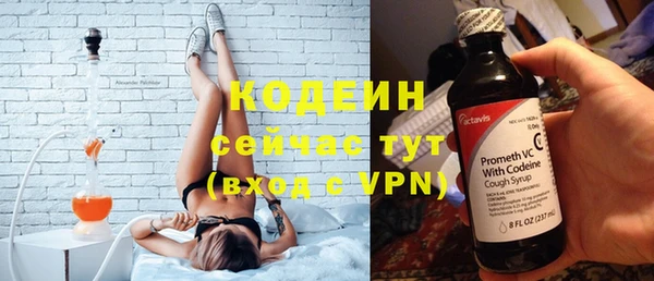 шишки Богданович