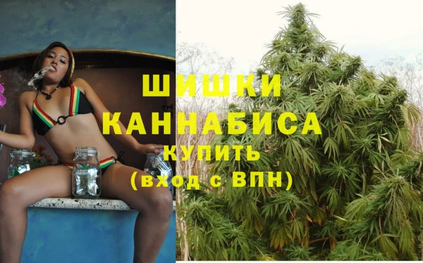 шишки Богданович