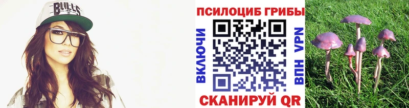 Псилоцибиновые грибы мицелий  Купить закладки  Красный Кут 