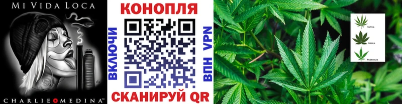 МАРИХУАНА OG Kush  Купить  Красный Кут 